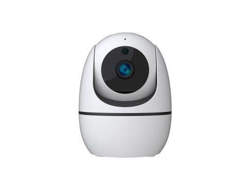 Goq camera 2024